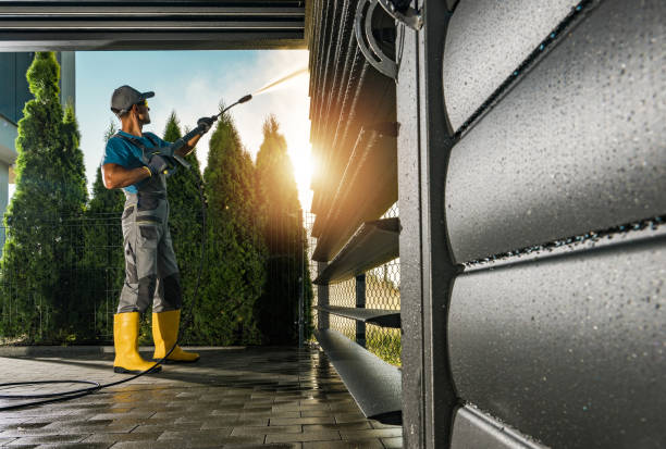 Best Roof Pressure Washing  in Sterling, AK