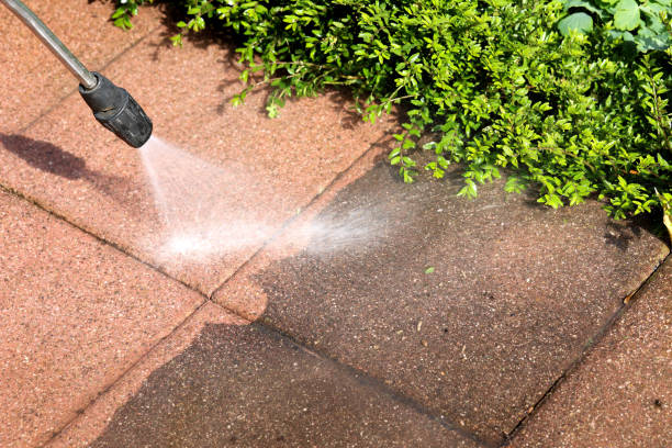 Best Pressure Washing Company Near Me  in Sterling, AK
